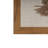 Frayed Symmetry, Shadow Box
