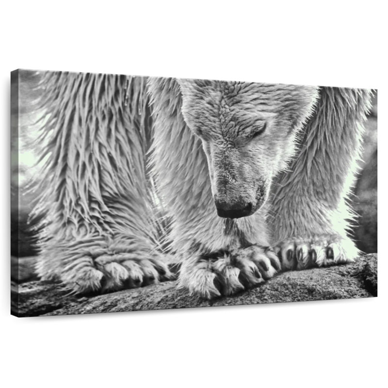 Brampt Wet Polar Bear, 16" H x 24" W