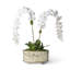 Gilder Arbor Oval Planter