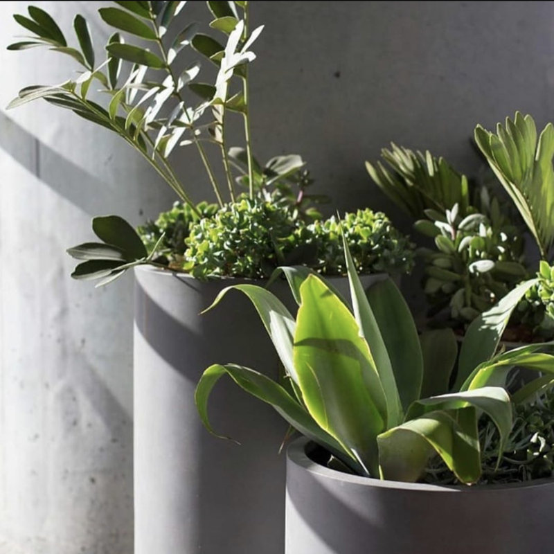 Wollstone Pot Planter