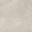 Carrelage de sol et mural Sonoma Cameo 61 cm x 61 cm, aspect pierre, en porcelaine mat-51024607