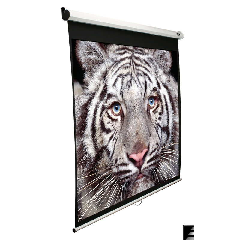 Manual Series Manual Wall/ Ceiling white case Mounted Projector Screen, 71" diagonal