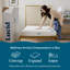 Matelas en mousse viscoélastique de 6 po Lucid SureCool ™-111448488-48409134