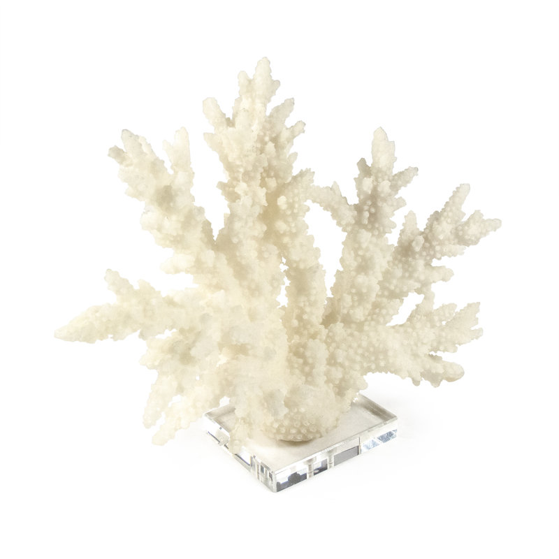 White/Ivory Coral Sculpture on Clear Acrylic Base