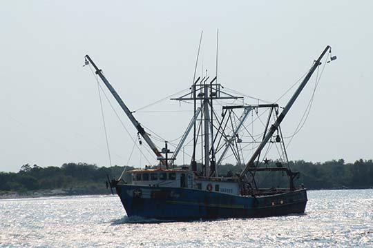 Reproduction de photo « fisherman » par jason pierce, H 44 po x l 66 po
