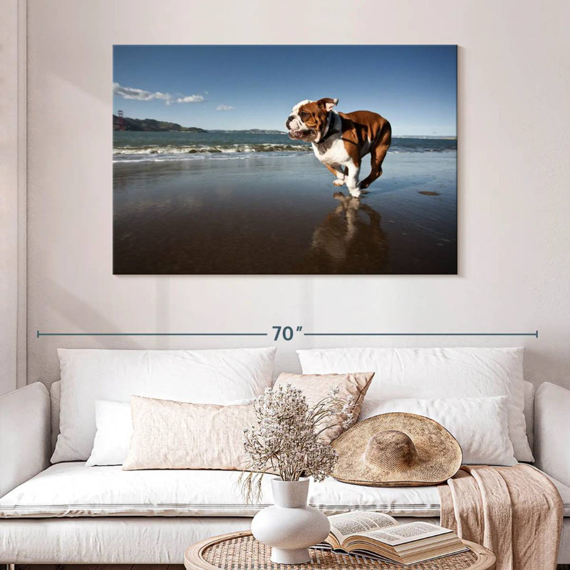 Brampt Dog Beach Run, 32" H x 48" W