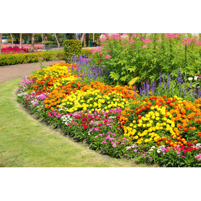 " Flower Gardens In Thailand "