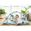 The Ocean Baby Gym