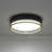 Modern Adjustable 5cct Black And Gold Led Flush Mount