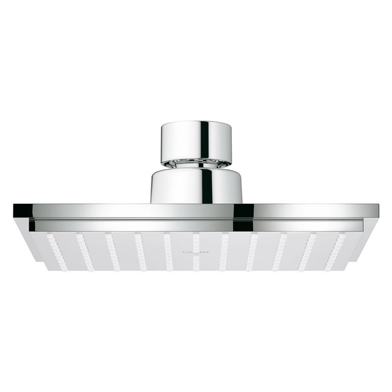 Euphoria® Rain Adjustable Shower Head with DreamSpray