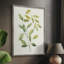 «Wilted Vine I», reproduction encadrée - bois massif-60291162