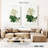 Keiri Oakleaf Hydrangea-108424241