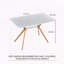 Table de salle à manger Modern Modern