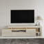 Dentrell TV Stand for TVs up to 50"