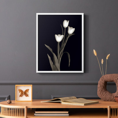«Tulip Pose I», reproduction encadrée - bois massif