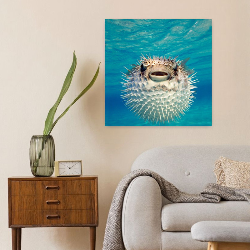 Close-Up Of A Puffer Fish Bahamas Contemporary Fish Art, 24" H x 24" W