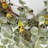 26" Every Day Eucalyptus Front Door Pinecone Olive Wreath