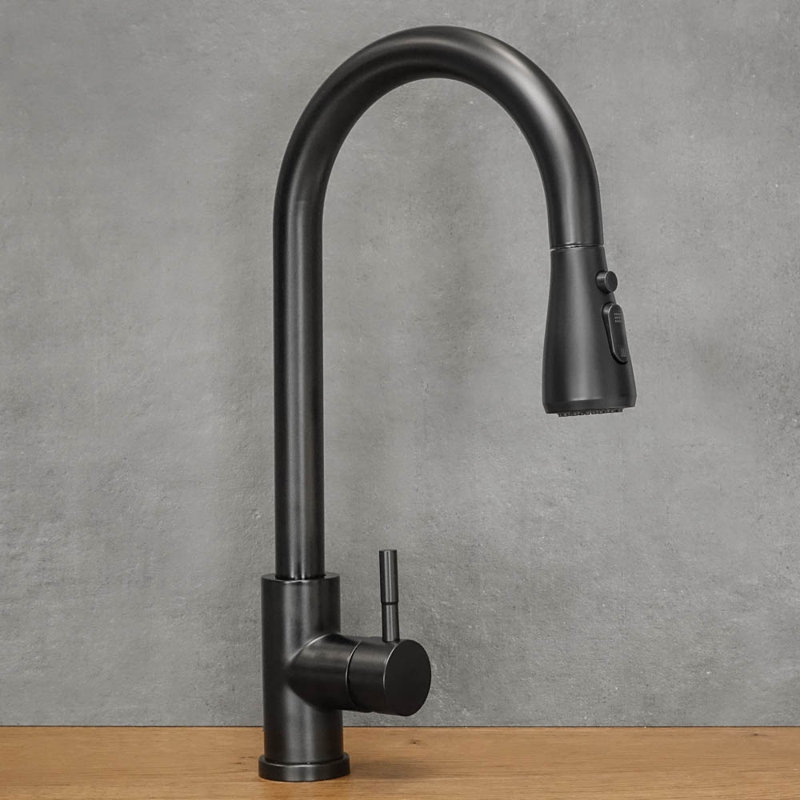 Belfry Kitchen Kitchen Faucet, Black