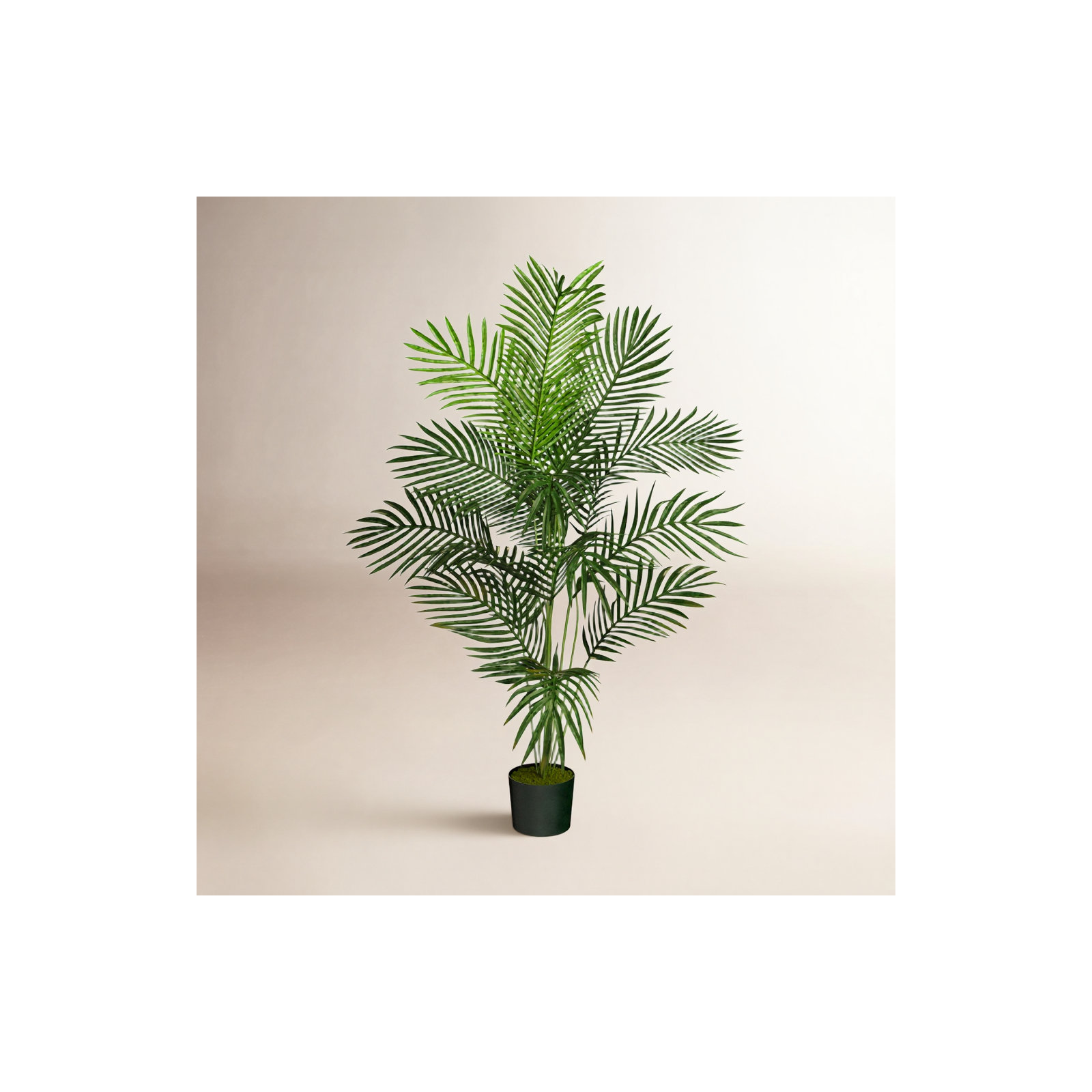 Thisbe Faux Palm Plant in Pot, 60" H x 46" W x 44" D