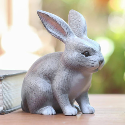 Lapin curieux Brauer