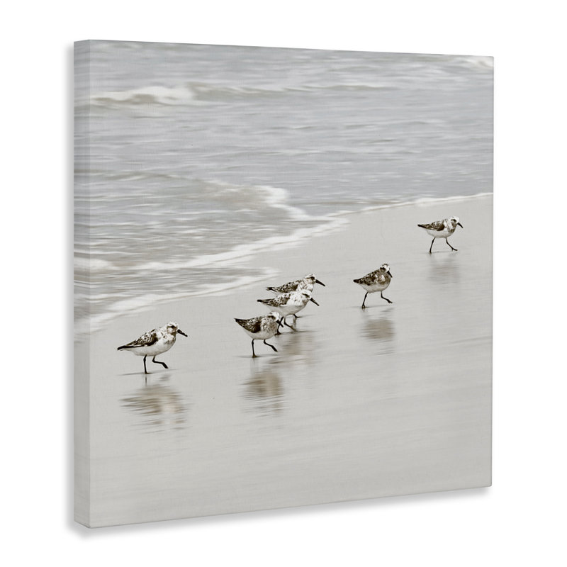 Scurrying Sandpiper Birds, toile par Natalie Carpentieri, H 17 po x l 17 po