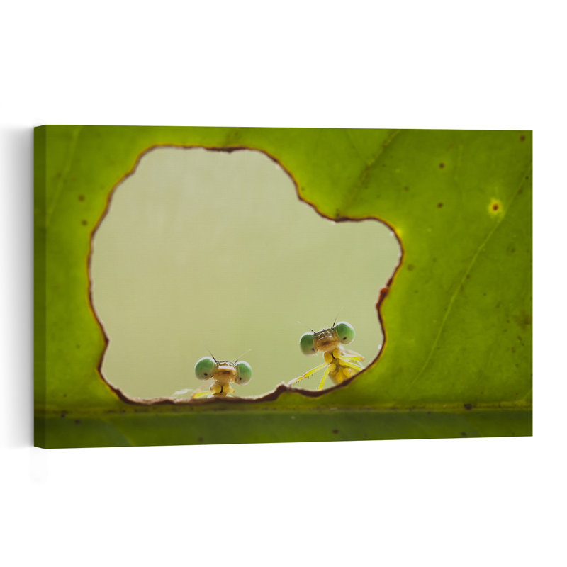 Tiny Damselflies Peek Abstract Forest Landscape Wall Art Print by Abdul Gapur Dayak - Print, 101.6cm H x 152.4cm W