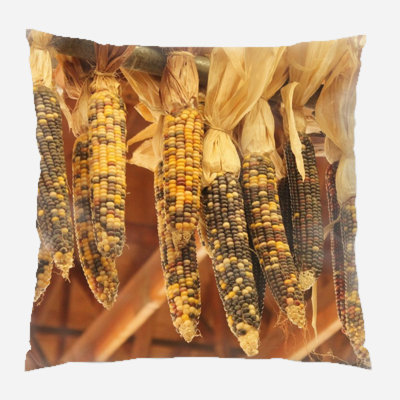 Outdoor Reversible Throw Pillow