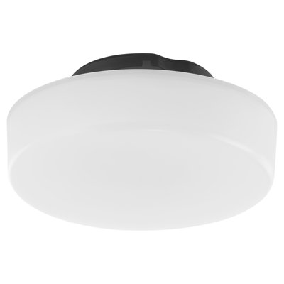Iphagenia 4.88 in. 1 - Light Frosted LED Globe Ceiling Fan Light Kit