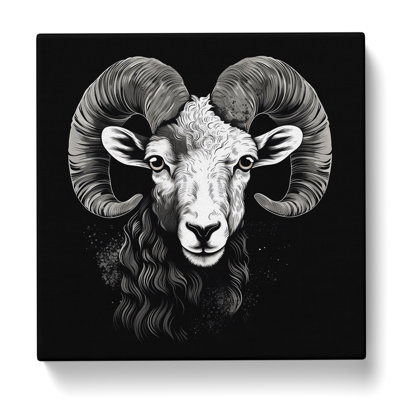 Ram Sheep No.2 - Wrapped Canvas
