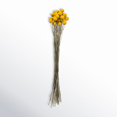 Preserved Arrangement