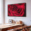 Velours rouge rosé sur toile-102860120