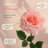 Artificial Silk Flower Arrangement - Realistic Home Decor