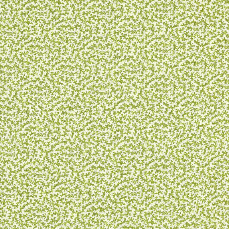 Truffle Fabric, Olive