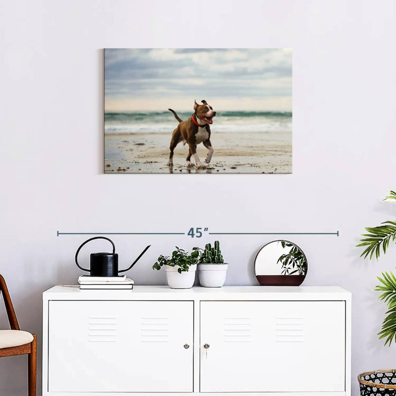 Brampt Pit Bull On Beach, 20" H x 30" W