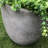 Pot Planter-67088203-67088204