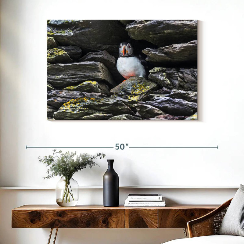 Crowle Resting Atlantic Puffin, 26" H x 39" W