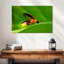 Firefly-108887490