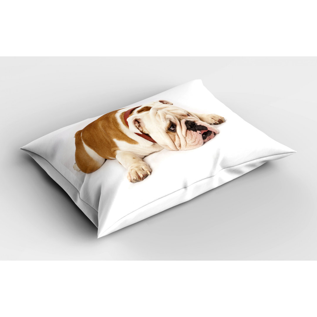 English Polyester Sham Set Ambesonne