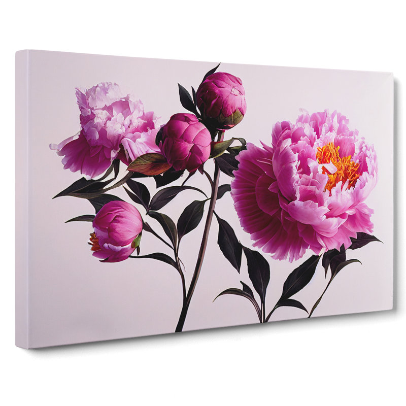 Spectacular Peonies - Wrapped Canvas Print, 35cm H x 50cm W x 3cm D