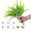 14.5 Plante