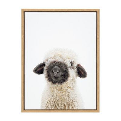 Reproduction d'art sur toile encadrée Animal Studio par Amy Peterson