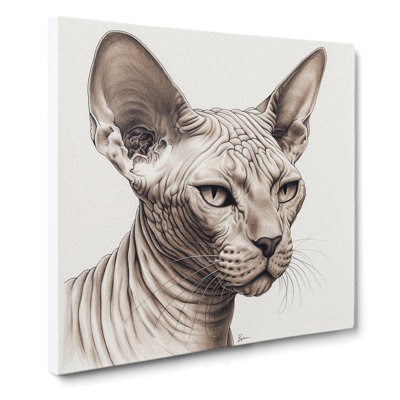 Sphynx Cat No.1 - No Frame Print