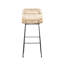 Nadell Wicker Bar Stool