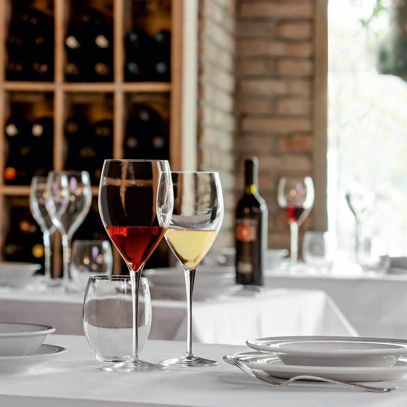Magnifico Wine Glasses (Set of 4), 15.5 oz