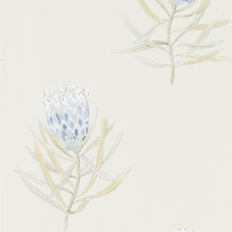 Protea Flower Wallpaper, China Blue/Canvas