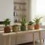 Pot rond rond Strata - brun foncé-816727664-816727670