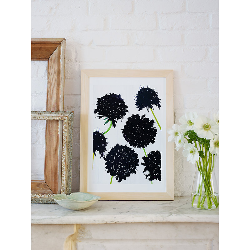 Black Scabiosa On Snow Print, 11" H x 8.5" W