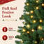 Fir Christmas Tree-900500789