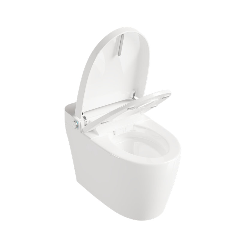 Toilette allongée une pièce Piedmont avec siège chauffant, capteur de siège et de pied, chasse automatique et occultante, veilleuse (sans fonction bidet)