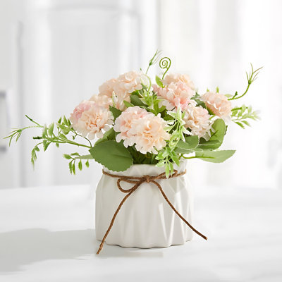 Mixed Arrangement in Pot